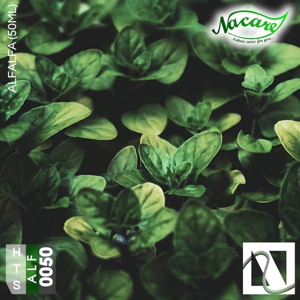 Alfalfa (50ml) Alfalfa (50ml)